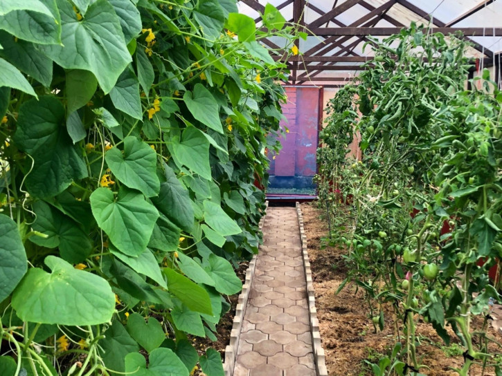 Коттедж/дом Россия, Заречная ул