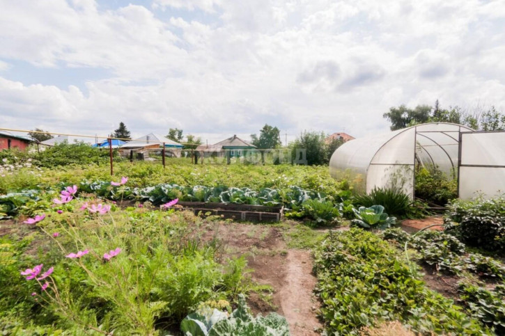 Коттедж/дом Олега Кошевого Коттедж/дом Олега Кошевого