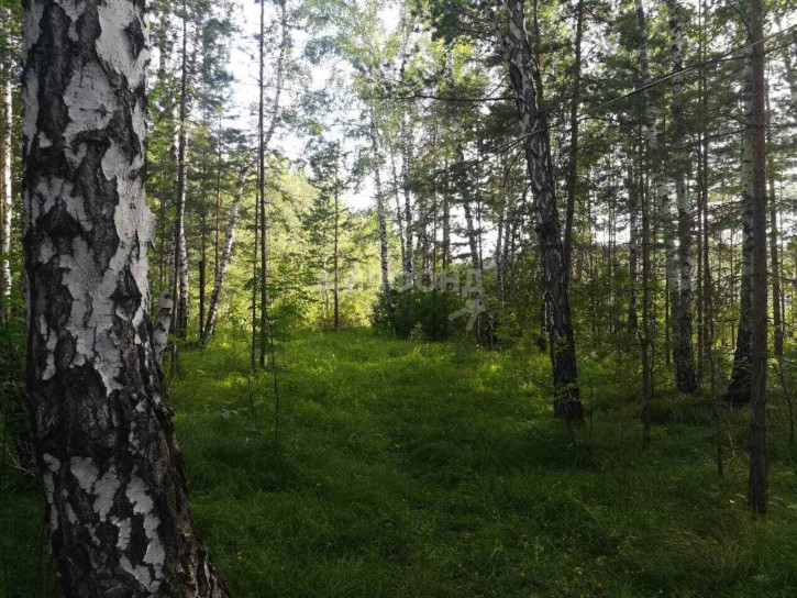 Земельный участок СНТСН Приозерный территория