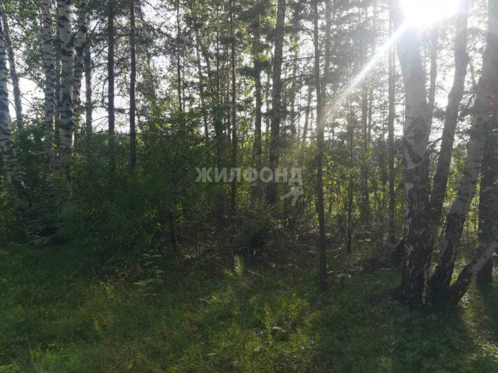 Земельный участок СНТСН Приозерный территория