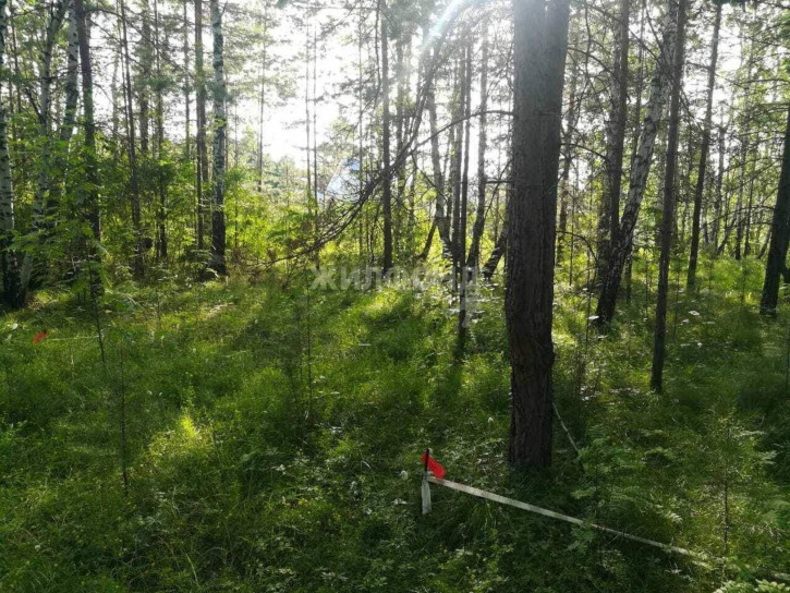 Земельный участок СНТСН Приозерный территория