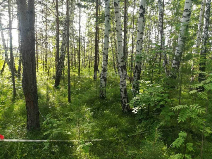 Земельный участок СНТСН Приозерный территория