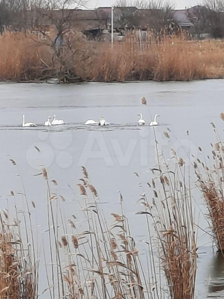 Коттедж/дом Шевченко ул, 5 Коттедж/дом Шевченко ул, 5