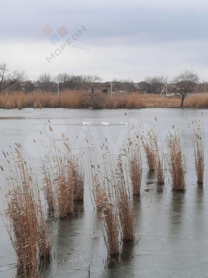 Коттедж/дом Шевченко ул, 5 Коттедж/дом Шевченко ул, 5