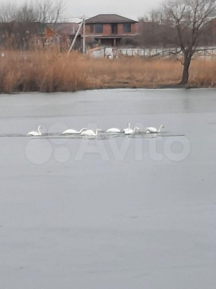 Коттедж/дом Шевченко ул, 5 Коттедж/дом Шевченко ул, 5