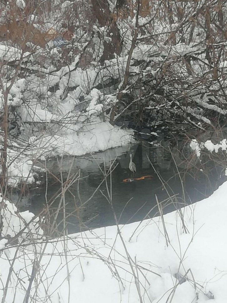 Коттедж/дом Шевченко ул, 5 Коттедж/дом Шевченко ул, 5