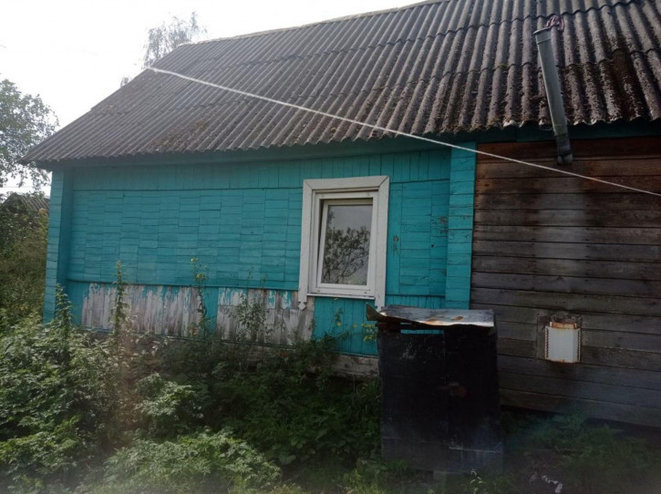 Коттедж/дом Свободы пер