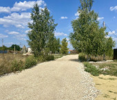 земля 600 сот Рейник п