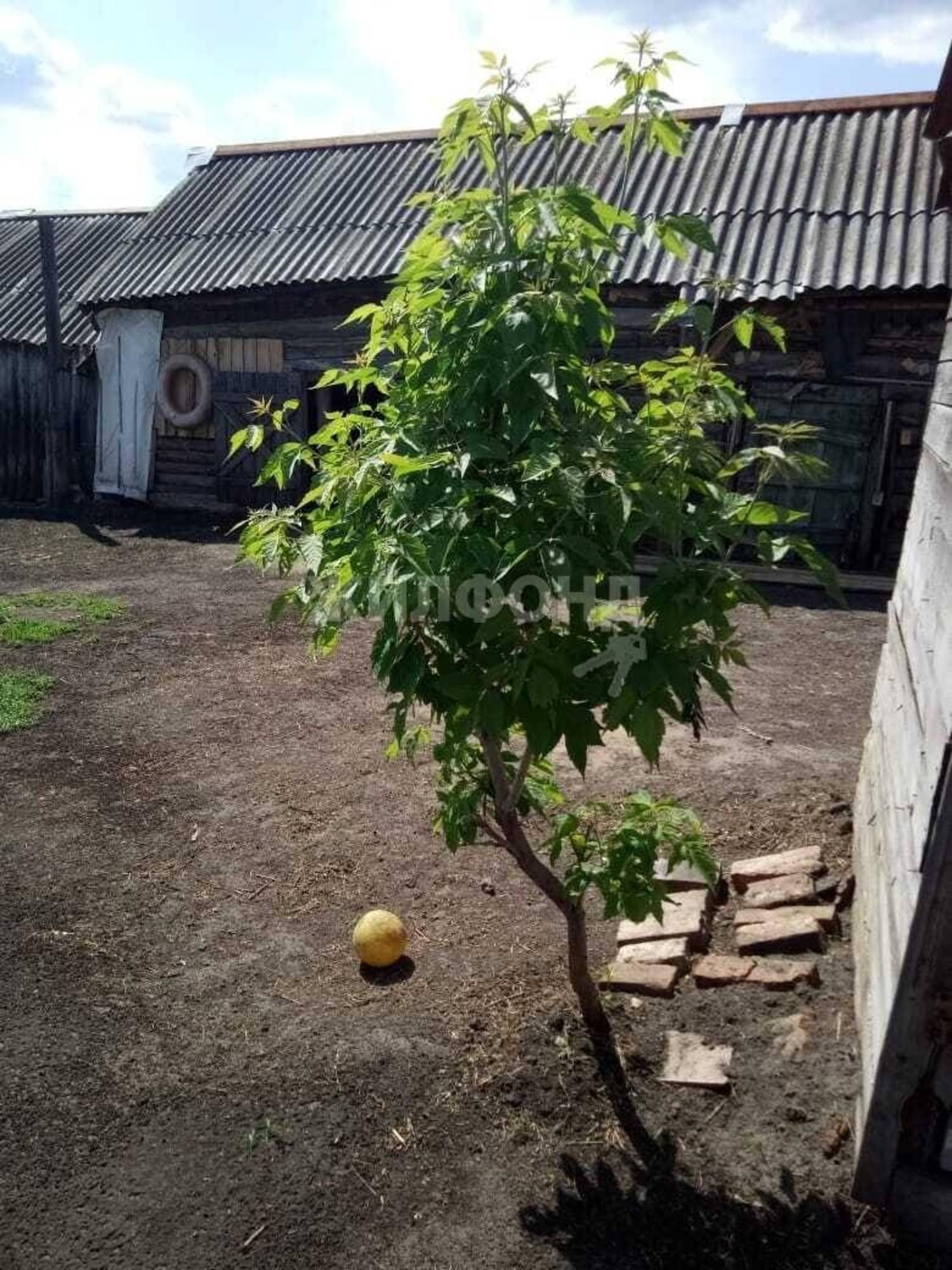 Купить дачу, дом, коттедж за 1 300 000 рублей на Кооперативная
