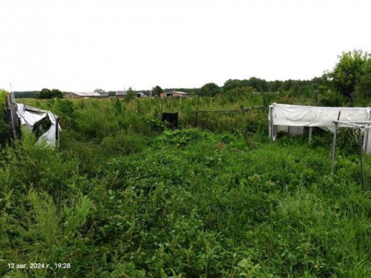 Коттедж/дом Центральная улица