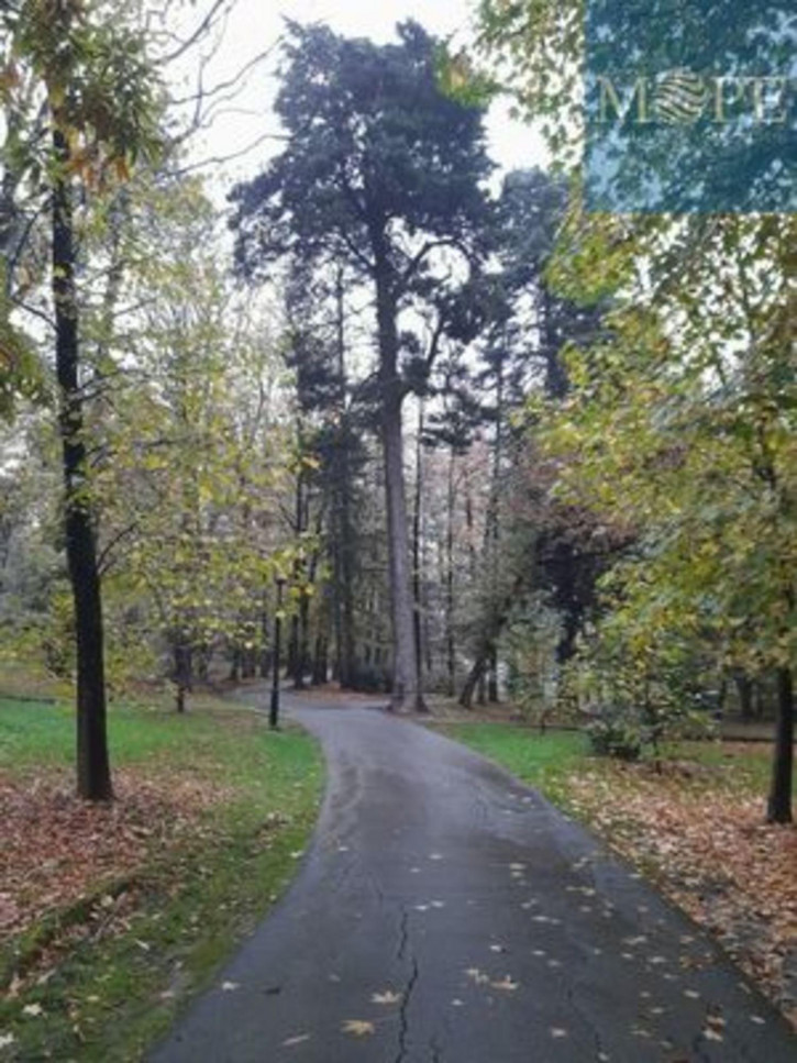 Коттедж/дом Раздольное с, Следопытов ул, 9А