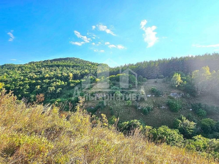 Земельный участок с/т Ветеран