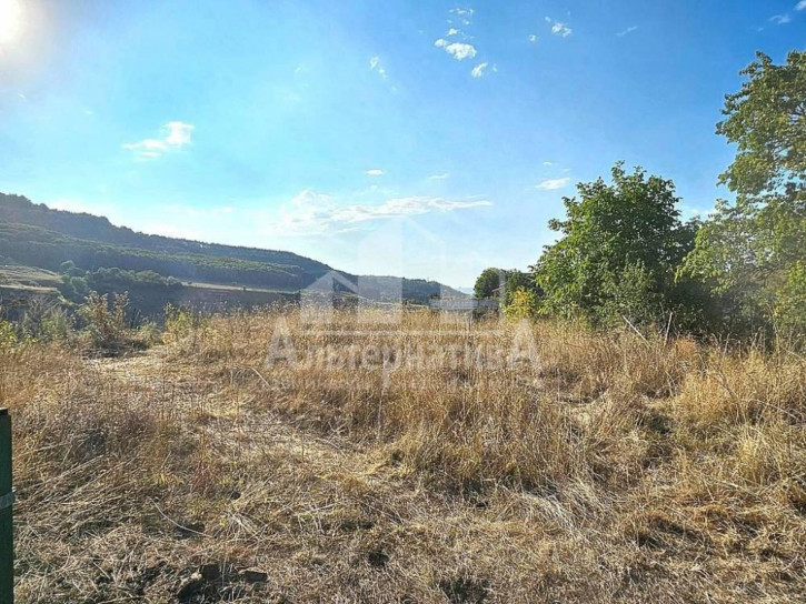 Земельный участок с/т Ветеран