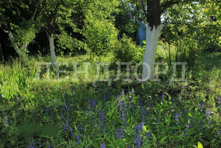 Земельный участок 3-й Дамасский переулок