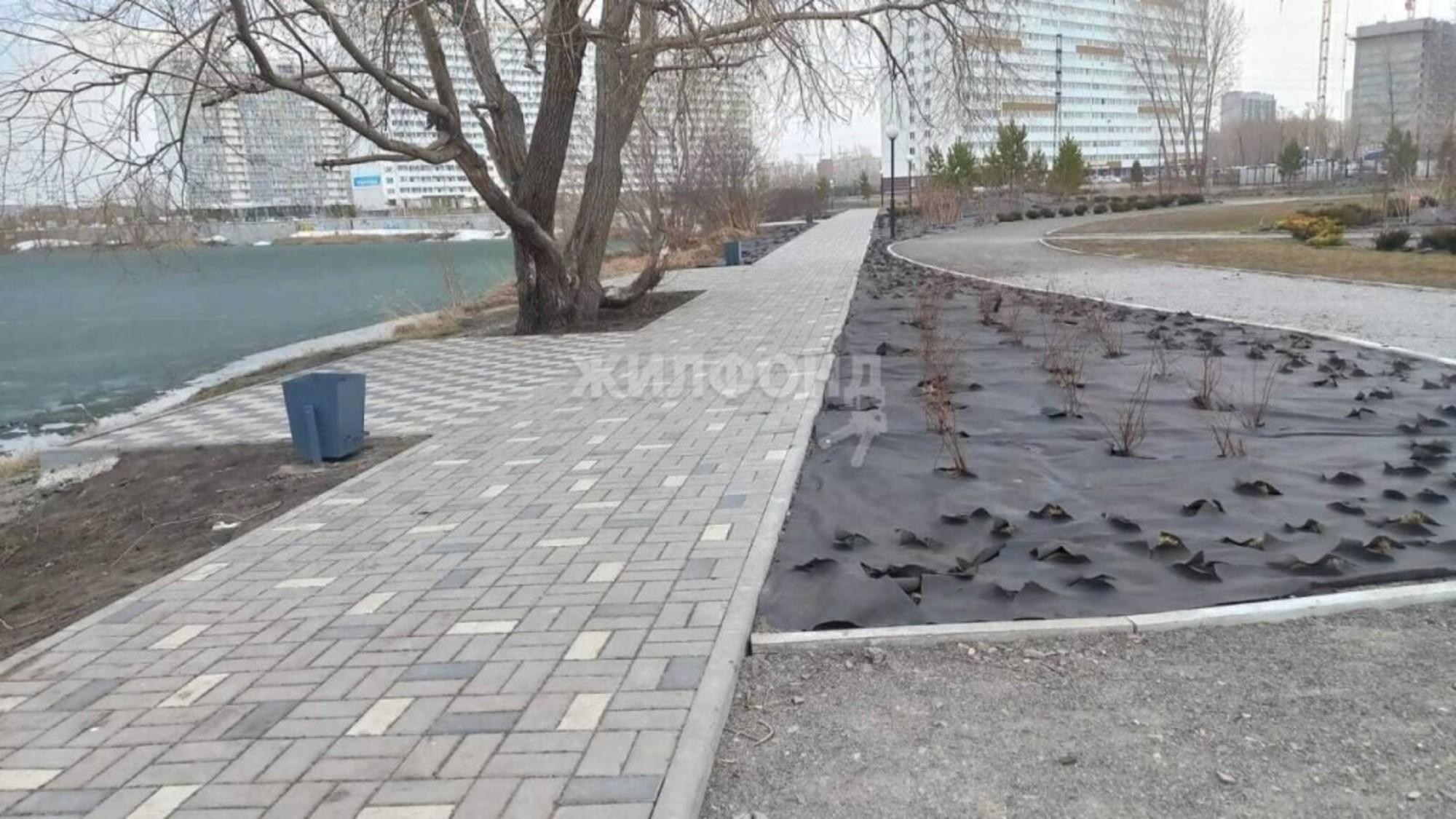 Купить квартиру за 2 950 000 рублей на Забалуева, 102/1