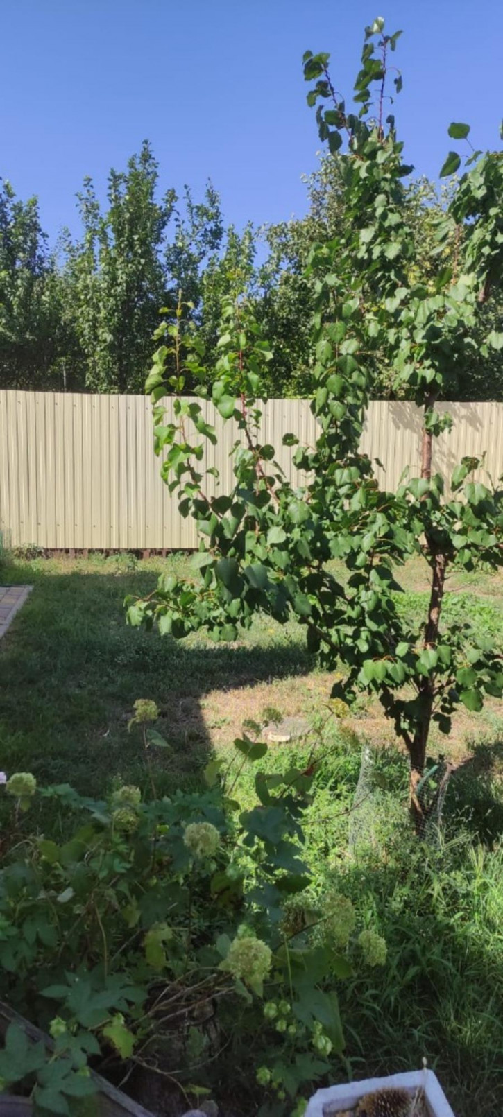 Земельный участок Орская улица