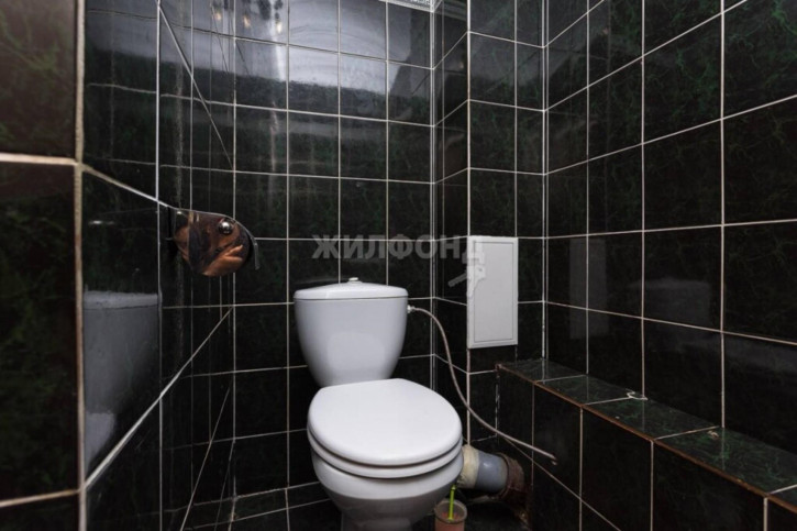 6-комн квартира Красный проспект, 234