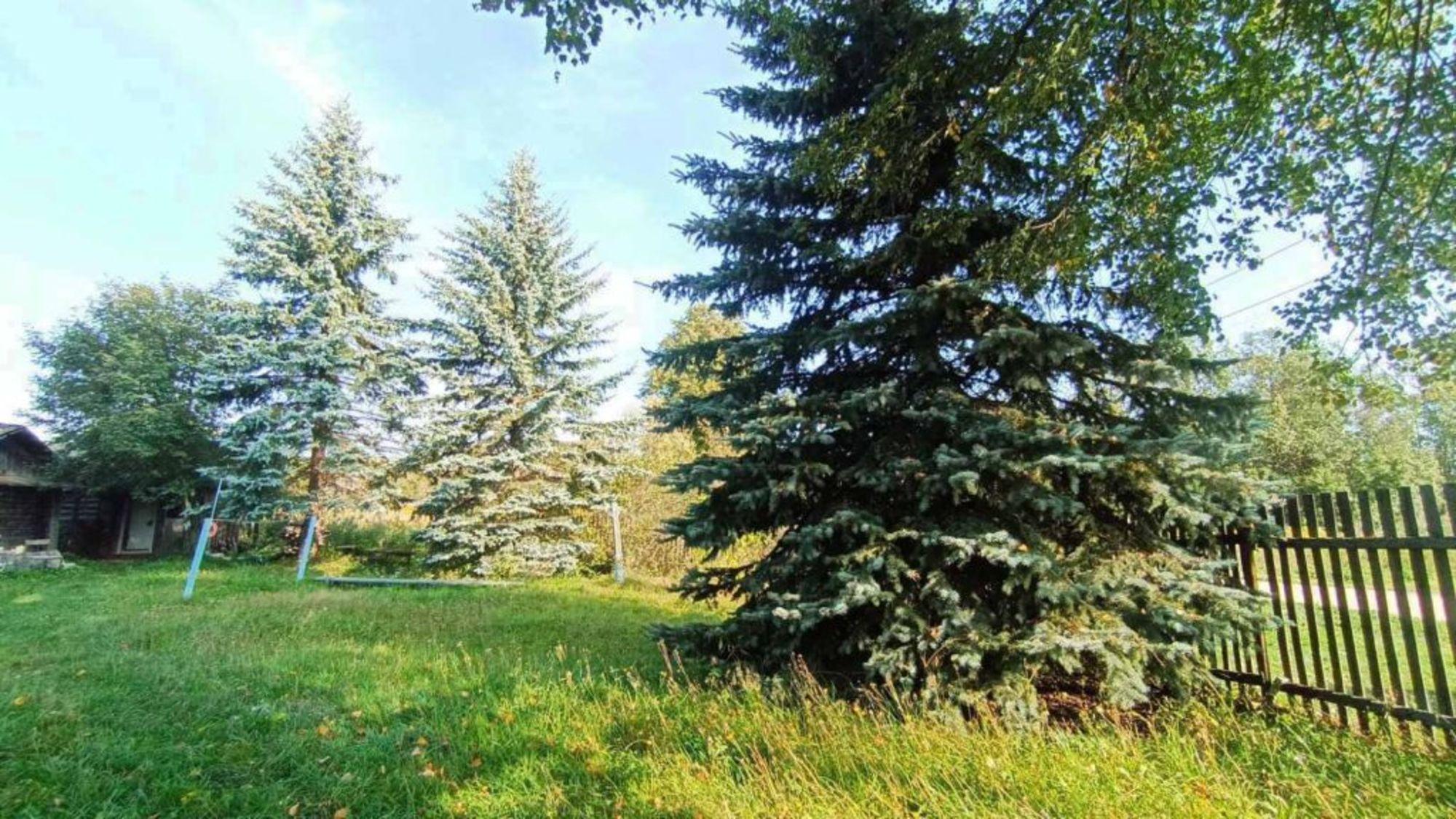 Купить дачу, дом, коттедж за 1 750 000 рублей на Коркино д