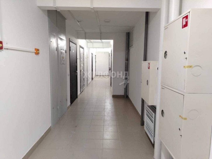 Студия Забалуева улица, д.102/1