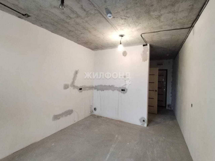 Студия Забалуева улица, д.102/1