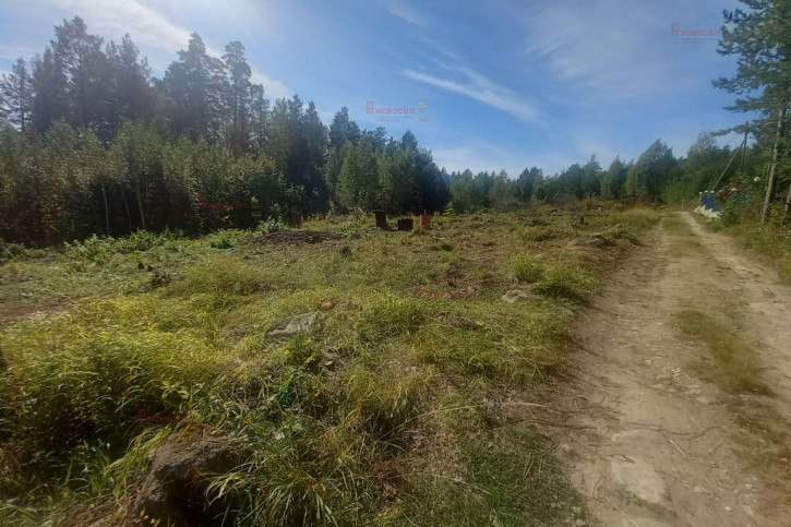 Земельный участок СНТ Людмила