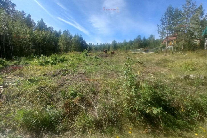 Земельный участок СНТ Людмила