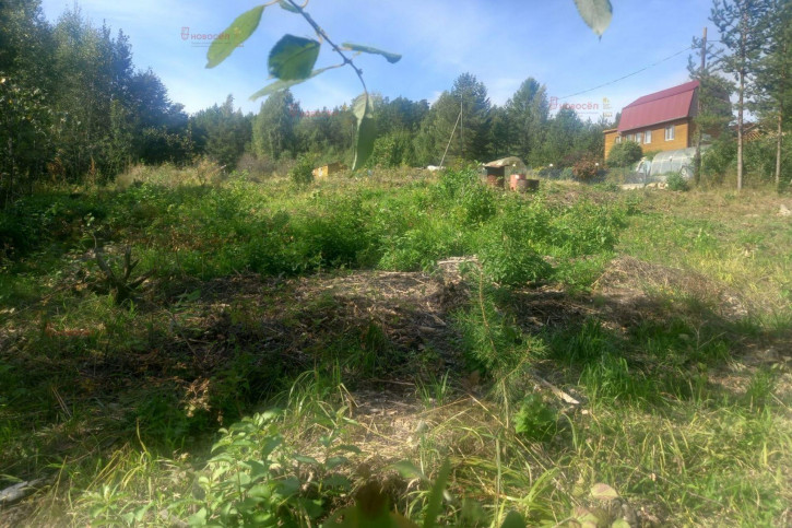 Земельный участок СНТ Людмила