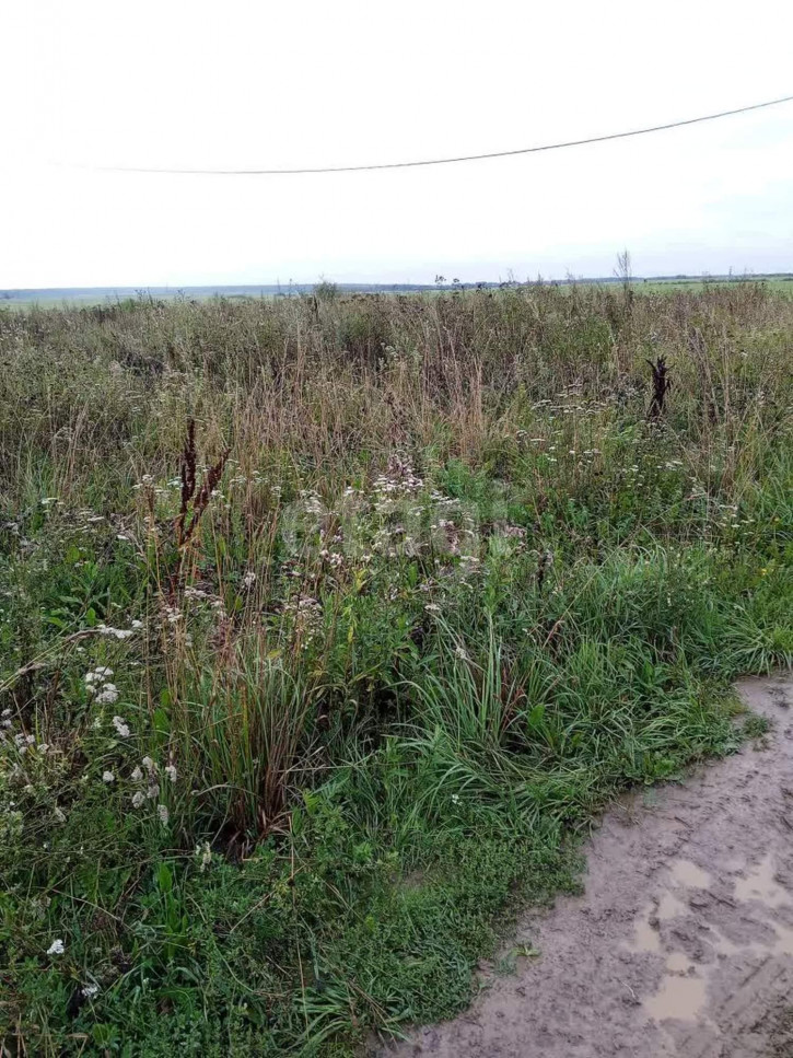 Земельный участок Губачево