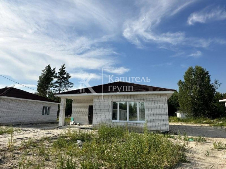 Коттедж/дом село Тюнево