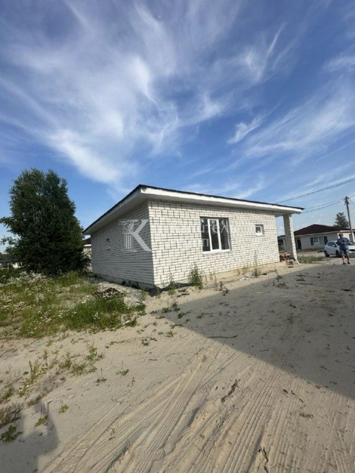 Коттедж/дом село Тюнево