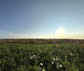 земля 8 сот село Первомайское, 1660