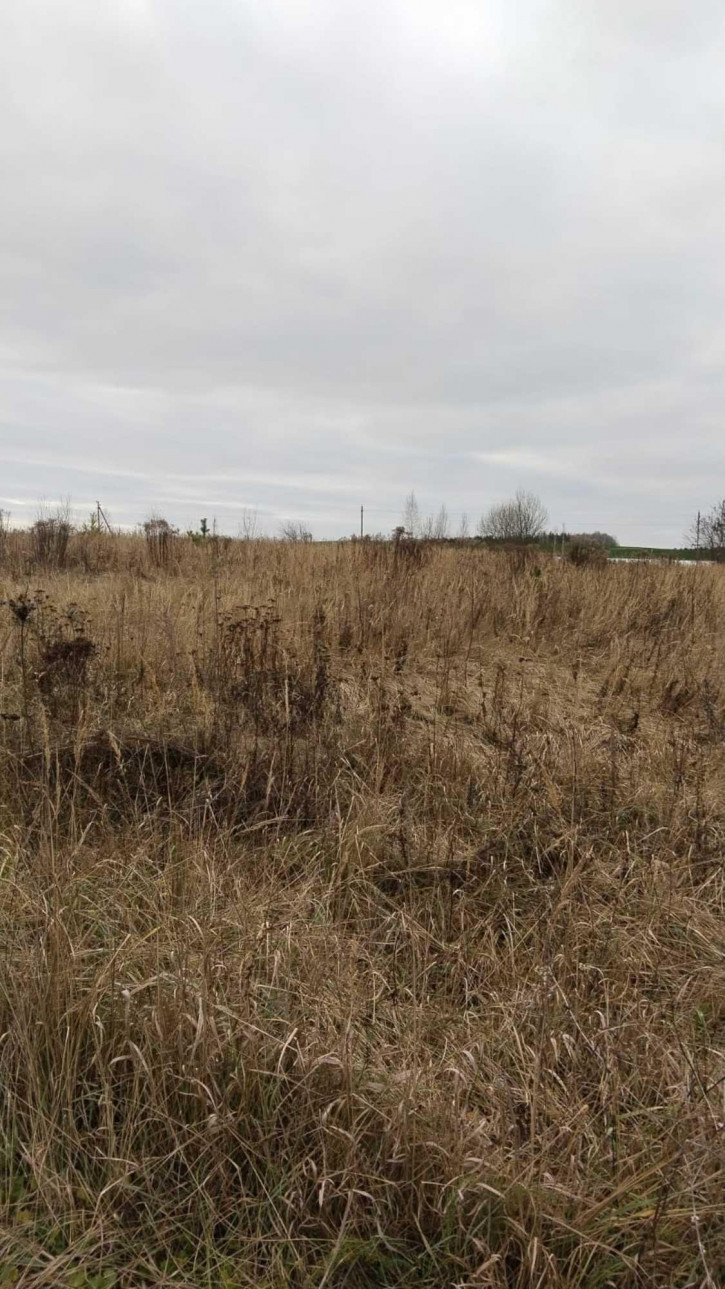 Земельный участок