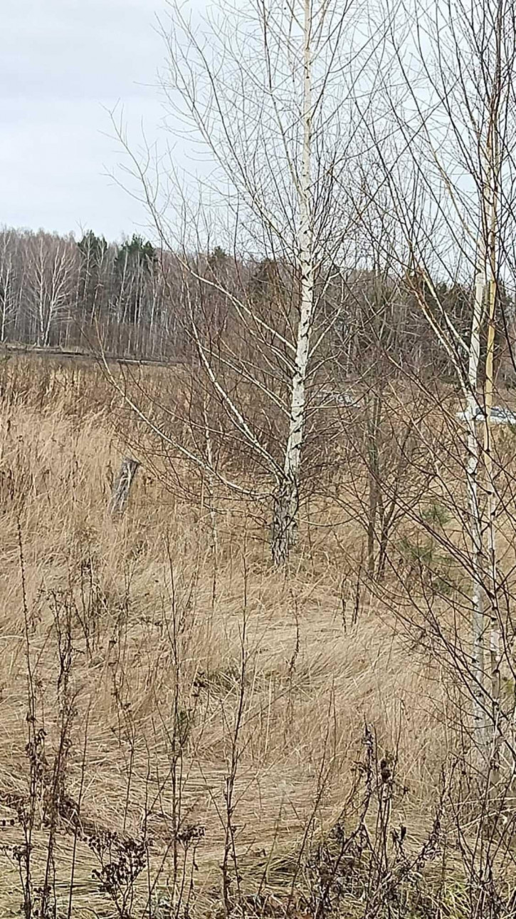 Земельный участок