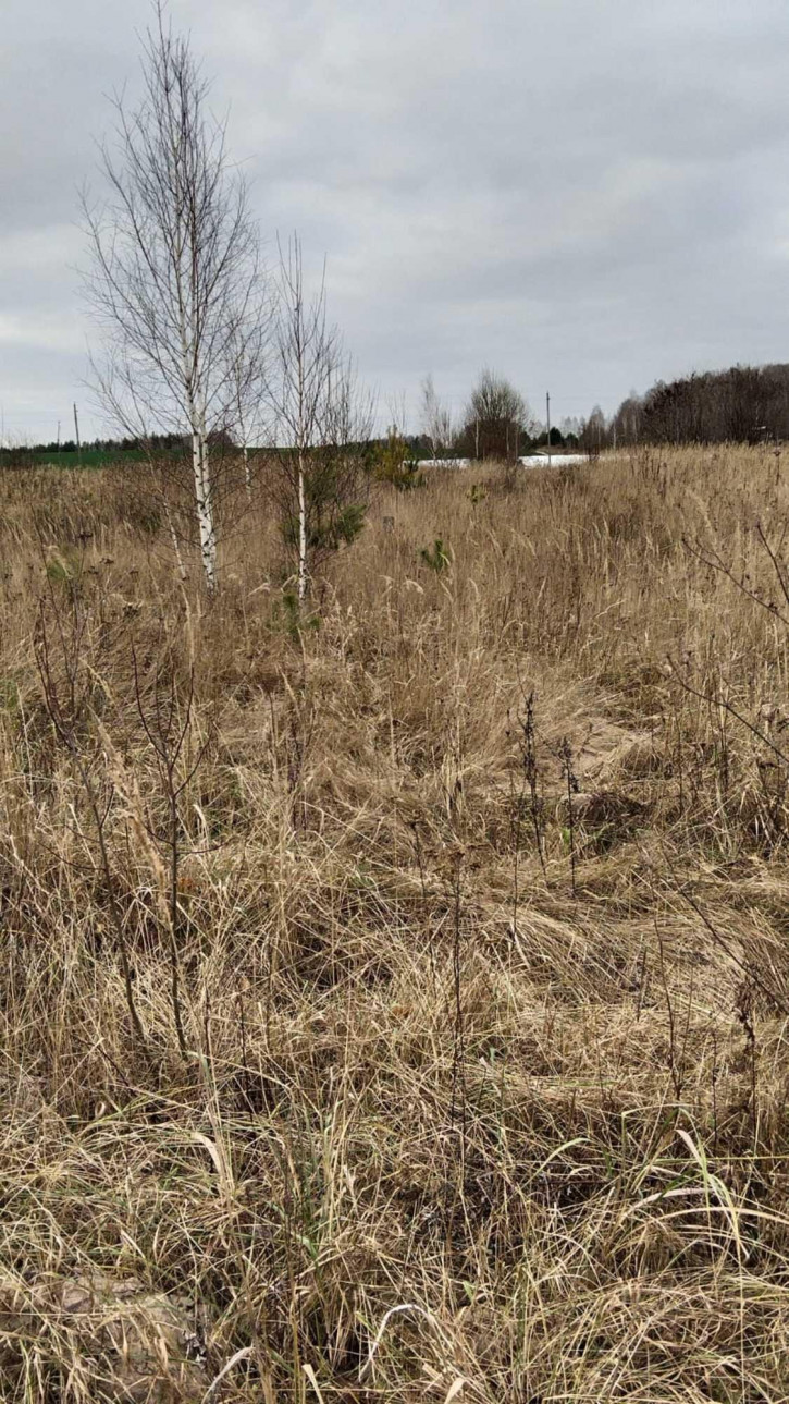 Земельный участок