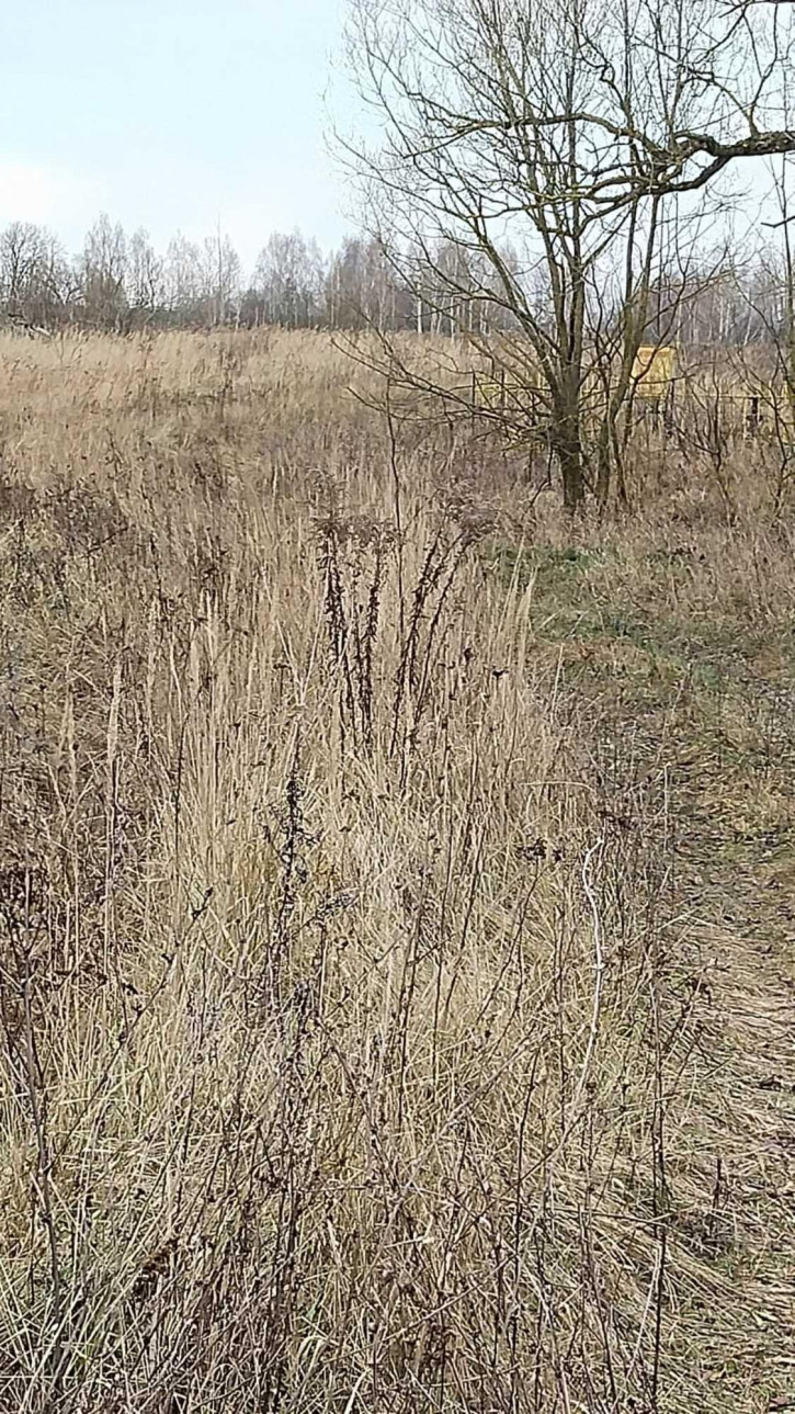 Земельный участок