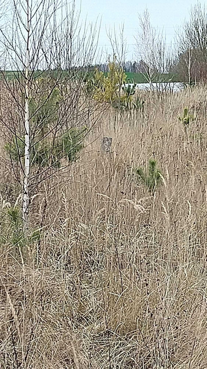 Земельный участок