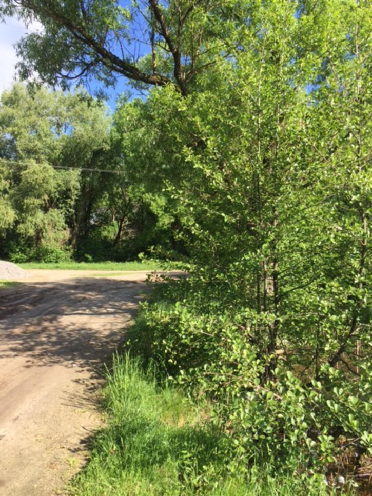 Земельный участок село Журавка