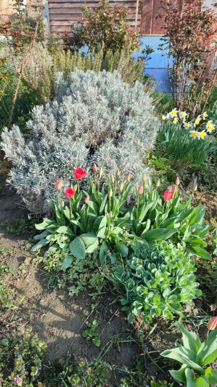 Коттедж/дом Мира ул, 23 Коттедж/дом Мира ул, 23