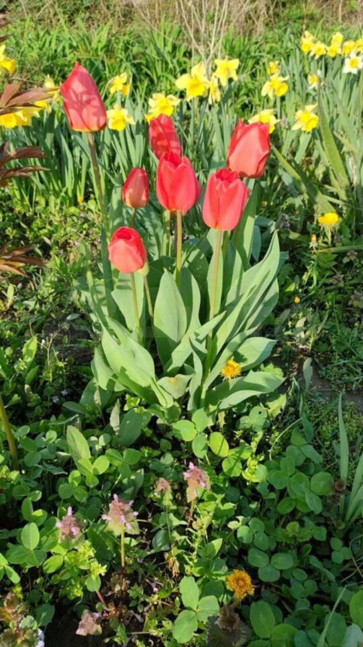 Коттедж/дом Мира ул, 23 Коттедж/дом Мира ул, 23