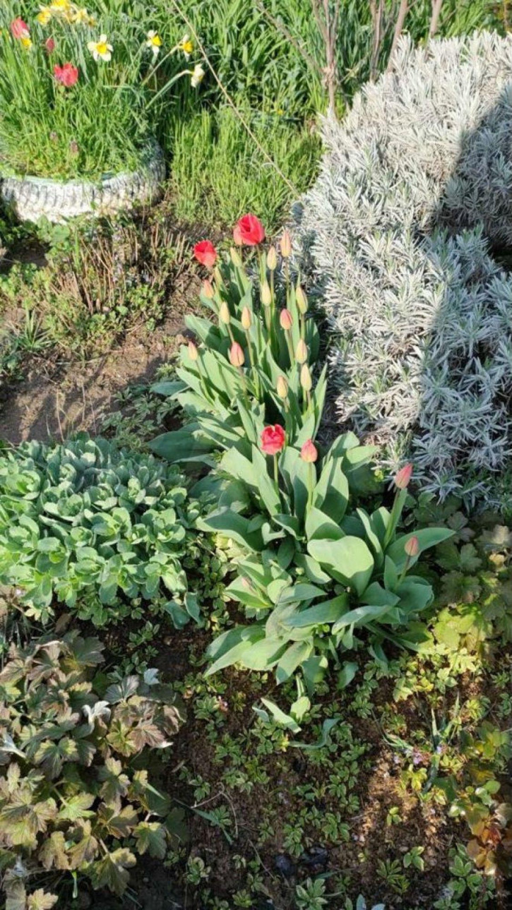 Коттедж/дом Мира ул, 23 Коттедж/дом Мира ул, 23