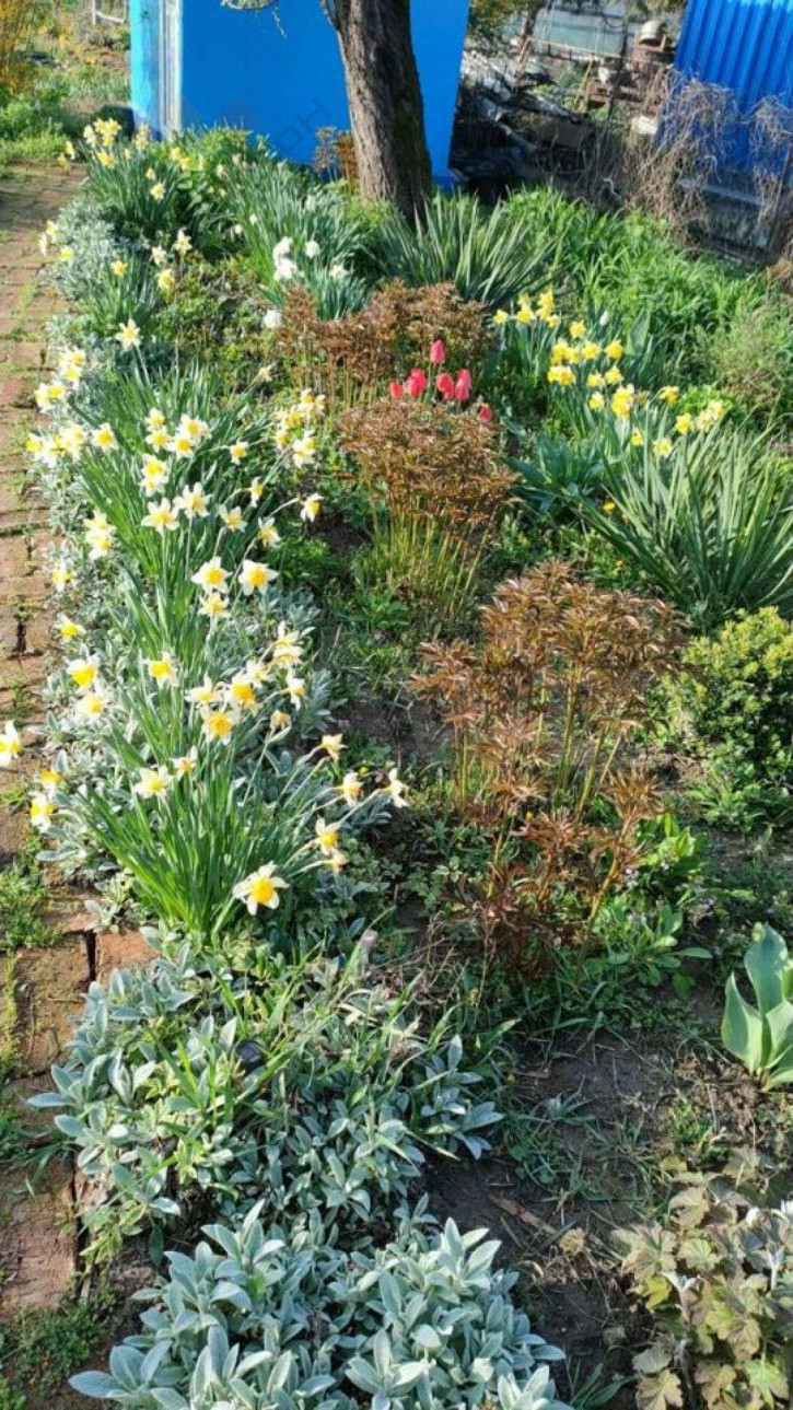 Коттедж/дом Мира ул, 23 Коттедж/дом Мира ул, 23