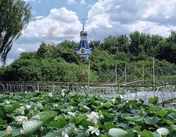 Коттедж/дом ул Полевая (СНТ Лотос), 15