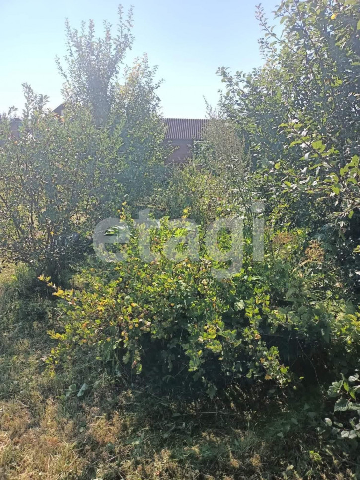 Земельный участок Владимира Люсина, Земельный участок Владимира Люсина,