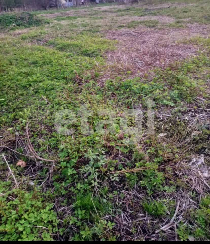 Земельный участок Владимира Люсина, Земельный участок Владимира Люсина,