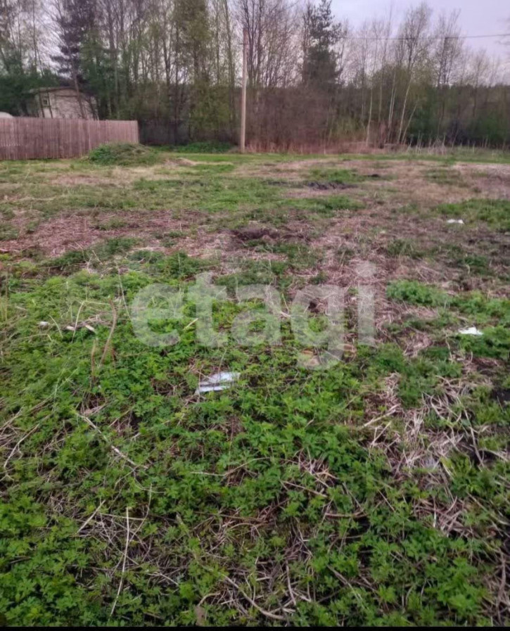 Земельный участок Владимира Люсина, Земельный участок Владимира Люсина,