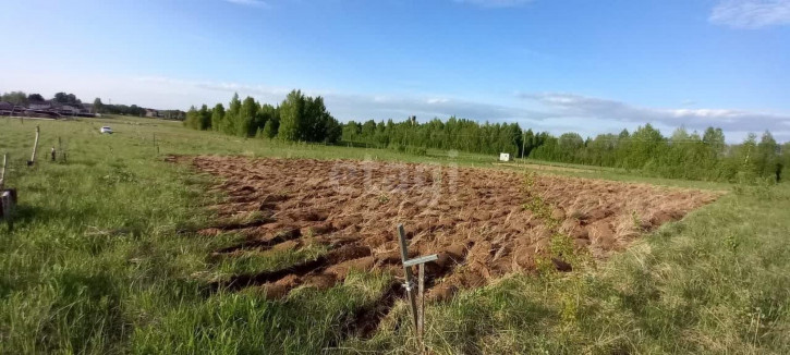 Земельный участок Молодежная, Земельный участок Молодежная,
