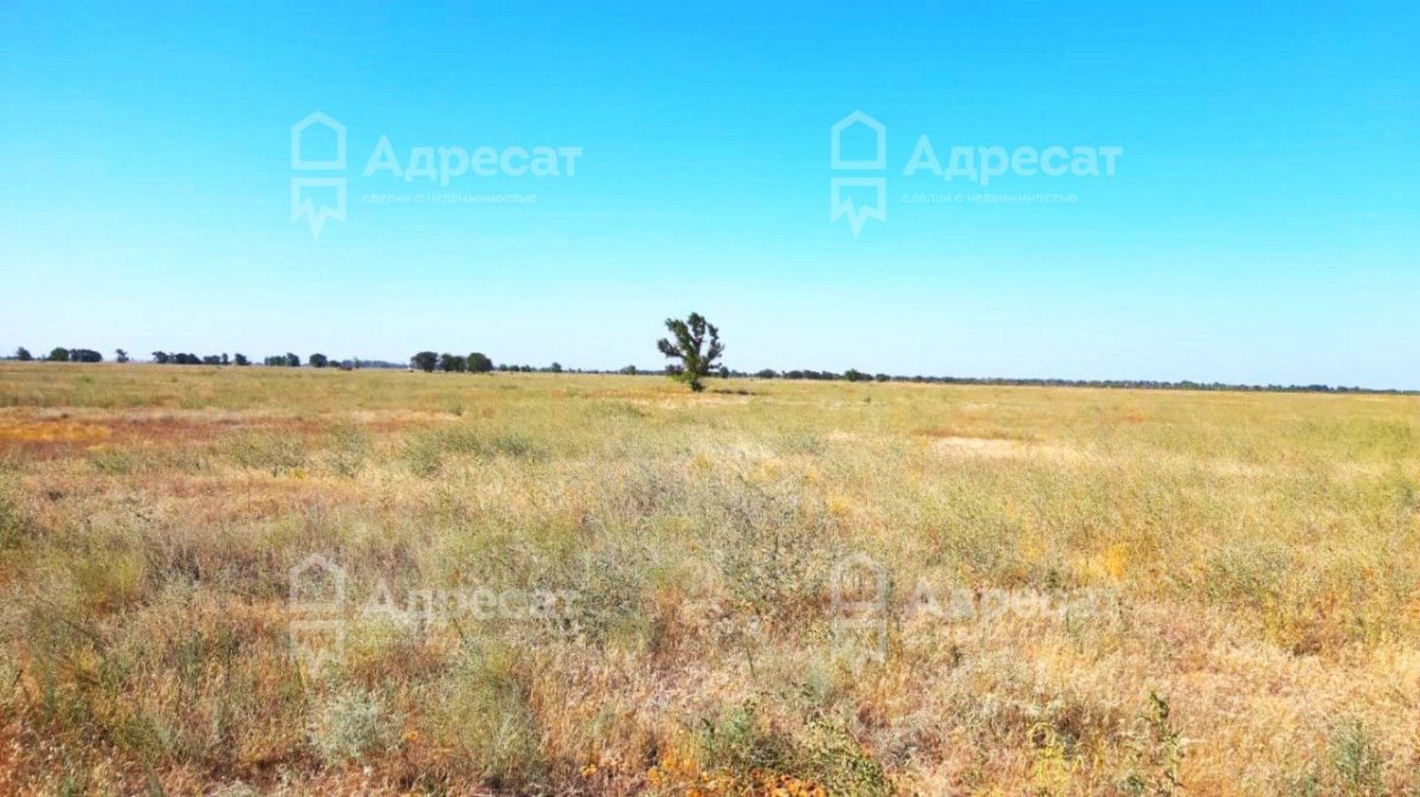 Купить землю, земельный участок за 20 200 000 рублей на 1-я линия