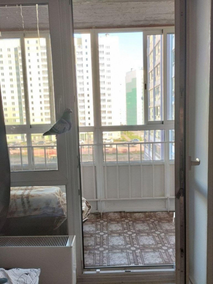 Студия Павла Корчагина ул, 240К 3 Студия Павла Корчагина ул, 240К 3