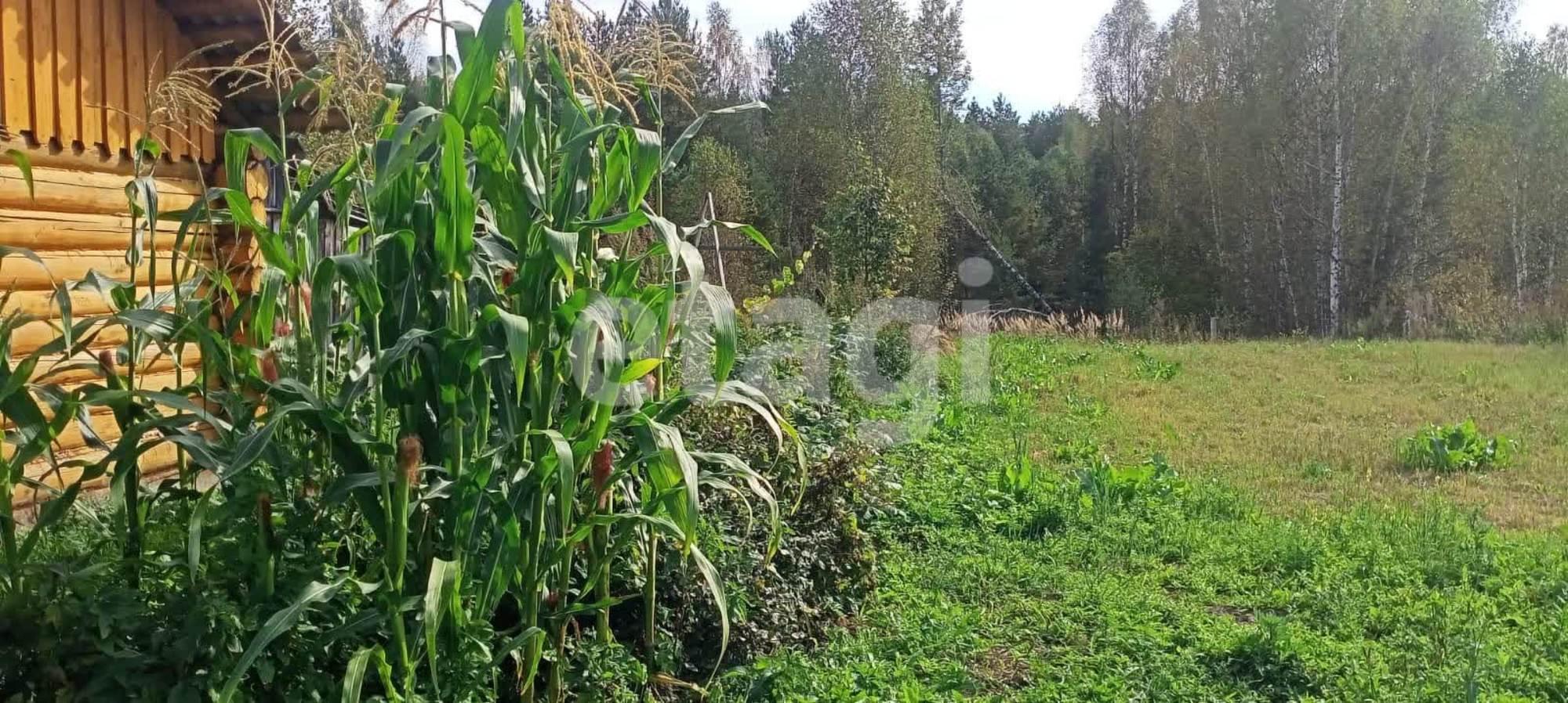 Купить дачу, дом, коттедж за 1 600 000 рублей на Хохлянки д.