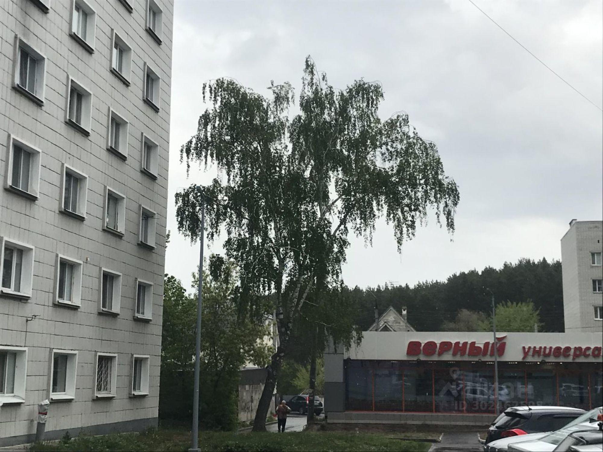 Купить комнату за 2 444 000 рублей на улица Солидарности, 21